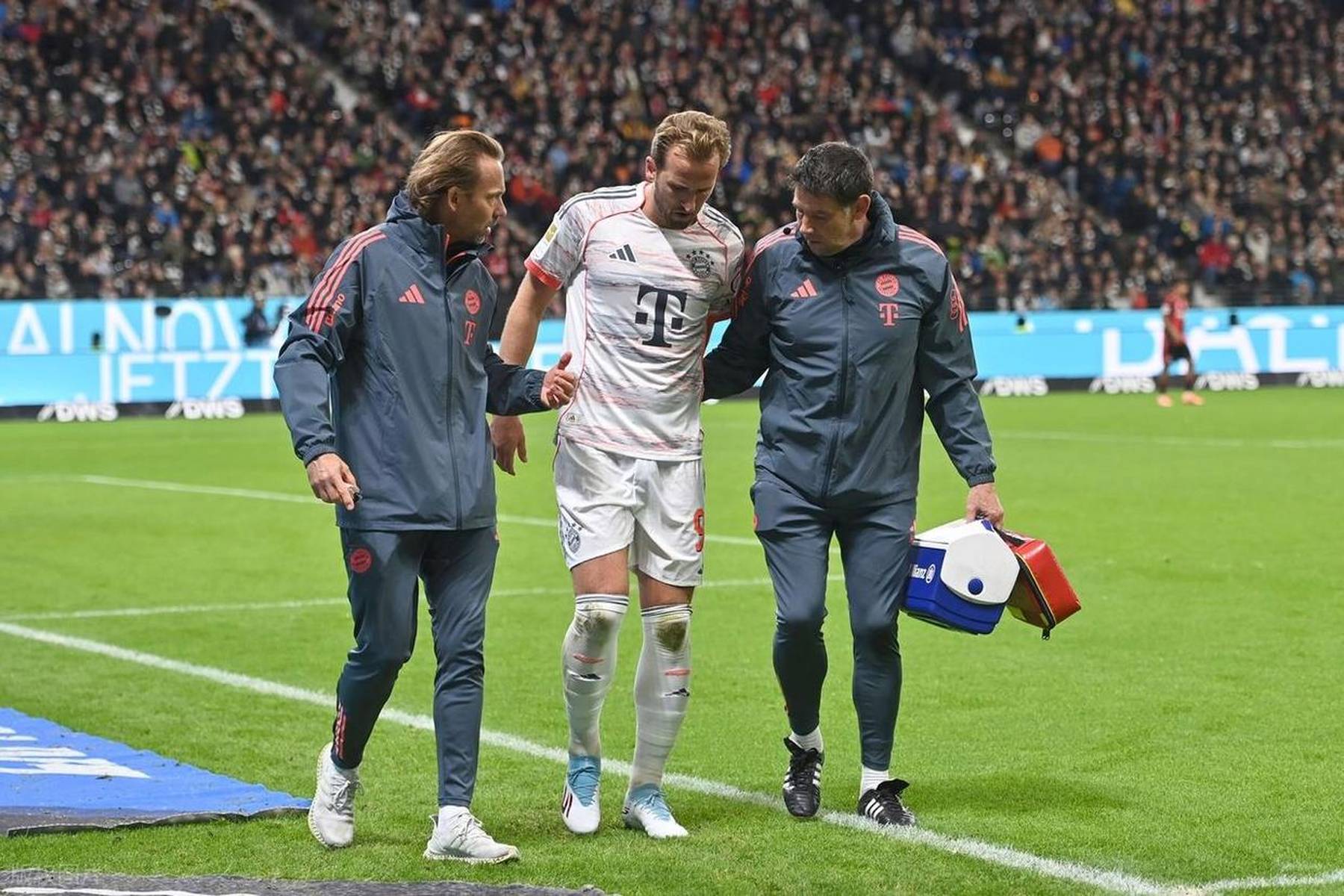 包含窗口期德甲焦点战，明尼苏达森林狼绝杀压哨，赛场秩序良好，资深球员宣示担当的词条